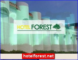 Hotels in Japan, hotelforest.net